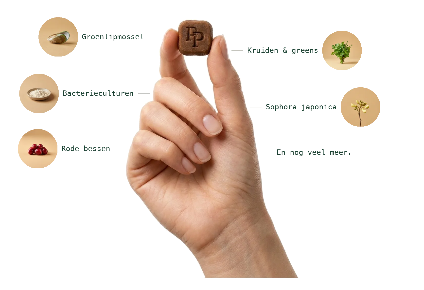 PP COMPLETE chew met formule-ingrediënten eromheen: groenlipmossel, bacterieculturen, rode bessen, kruiden en greens, en sophora japonica.